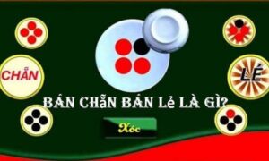 Bán chẵn bán lẻ là gì?